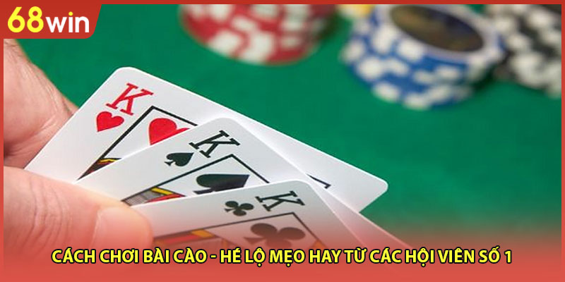 Cách Chơi Bài Cào - Hé Lộ Mẹo Hay Từ Các Hội Viên Số 1